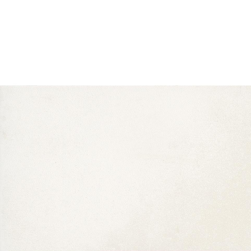 Sonic White Matte Zoomed Swatch