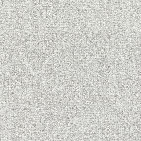 Tundra - Snowbird Swatch