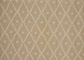Paragon - Camel Swatch