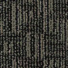 Timeless Features - Nocturnal Swatch