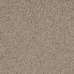 Balboa 1200 - Fp007 - Palm Bark Swatch