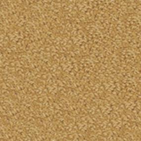 Legends/36 - Gold Leaf Swatch