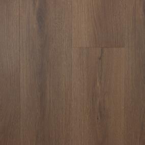 Mocha Swatch