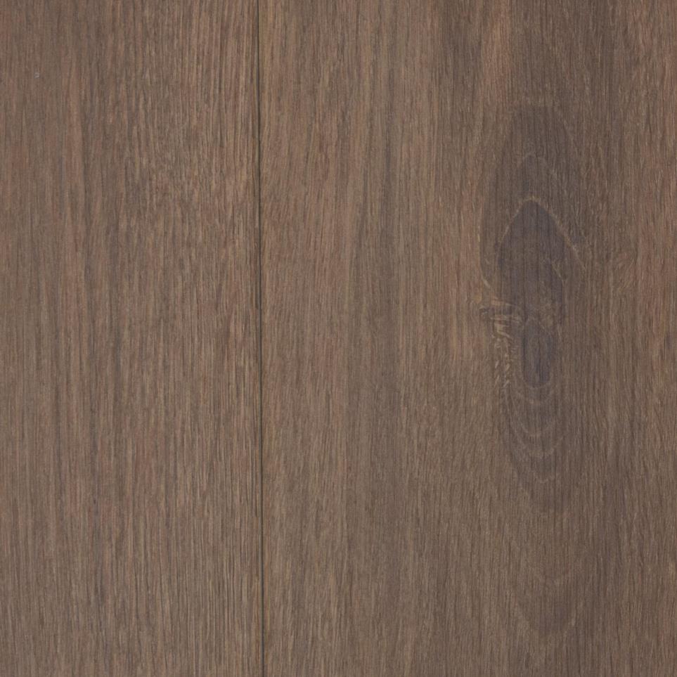 Mocha Zoomed Swatch
