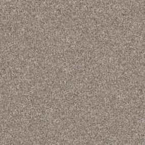 Yorkie Swatch Thumbnail
