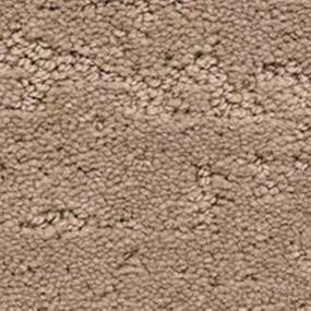 Classic Demeanor - Canyon Swatch