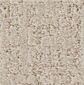 Shadow Colossal - Windsong Swatch