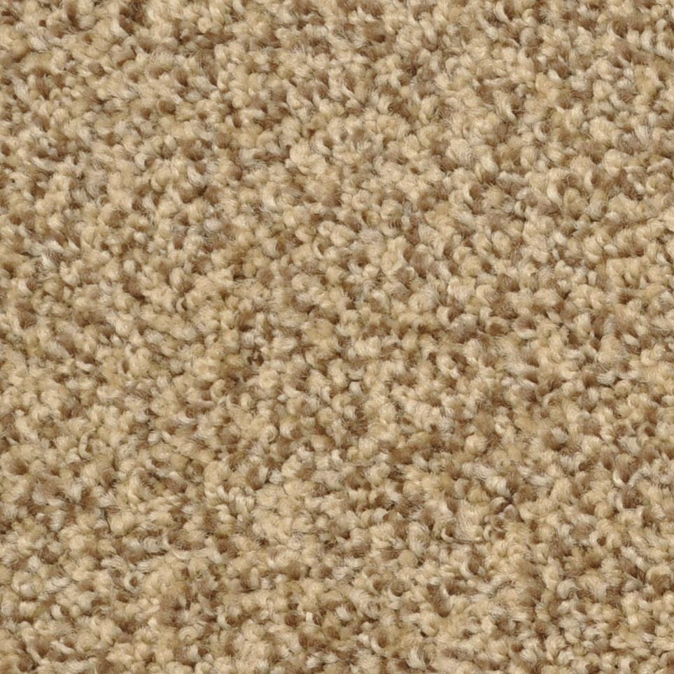 Monarch Zoomed Swatch