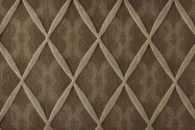 Coral Way - Mocha Swatch