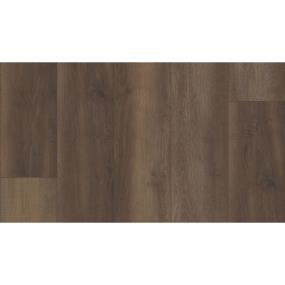 Coretec Plus Premium 9 - Pride Oak Swatch