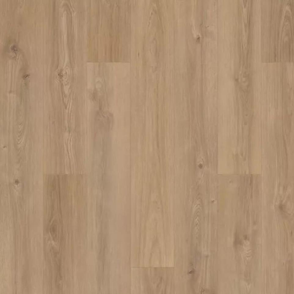 Windham Shores by Karastan - Wincrest