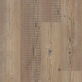 Aggressive Pine Zoomed Swatch