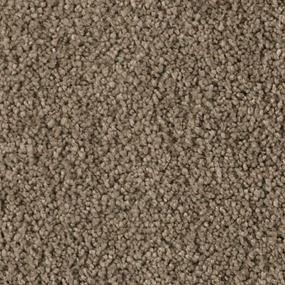 Soft Eloquence - Rustic Splendor Swatch