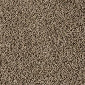 Rustic Splendor Zoomed Swatch