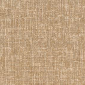 Classico - Harvest Swatch