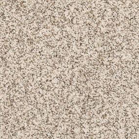 Dutch White Swatch Thumbnail