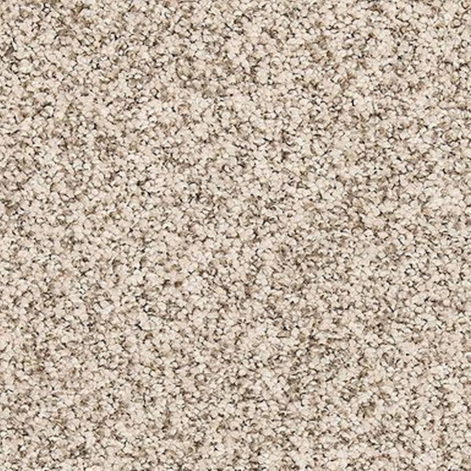 Dutch White Zoomed Swatch
