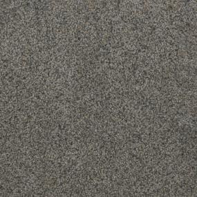 Trendsetter I - Ash Grove Swatch