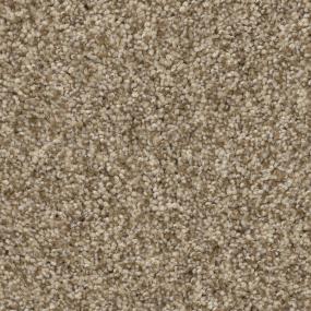 Chamois Zoomed Swatch