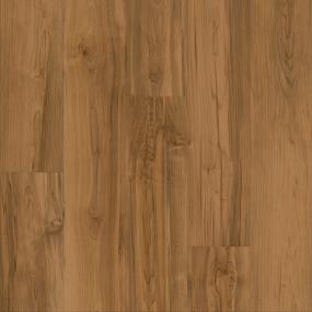 Hazelnut Swatch