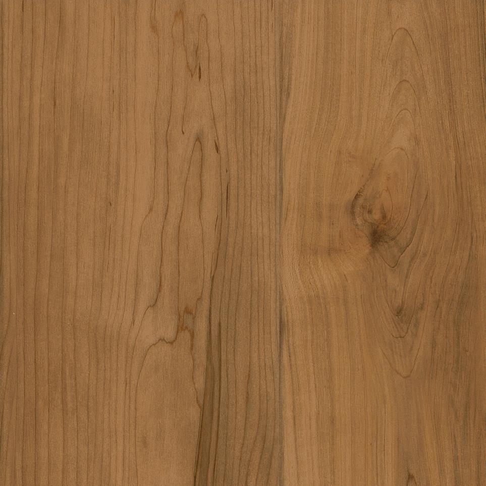 Hazelnut Zoomed Swatch