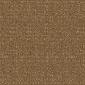 Rodeo Swatch Thumbnail