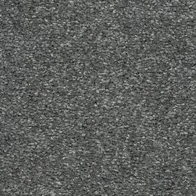 Dragonfly Zoomed Swatch