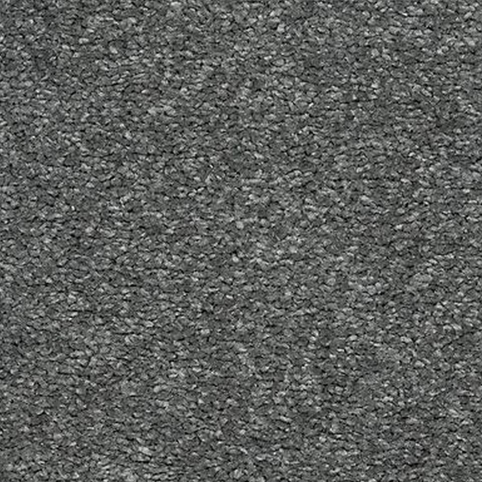 Dragonfly Zoomed Swatch