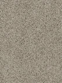 Tracker - Almond Swatch