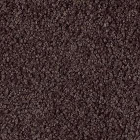 Fantasia Zoomed Swatch