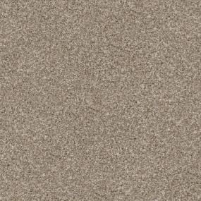 Big Dog - Sheltie Swatch