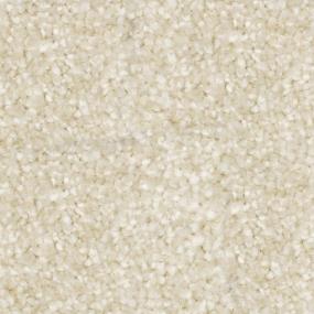 Hawaiian Sand Zoomed Swatch