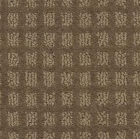 City Sights II - Tortoise Shell Swatch