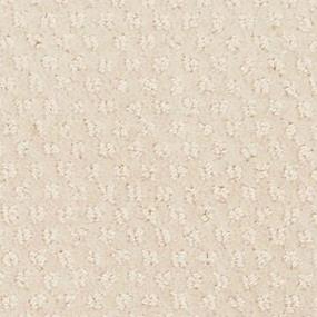 Arctic Zoomed Swatch