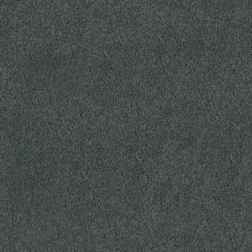 Tribute - Delmar Swatch