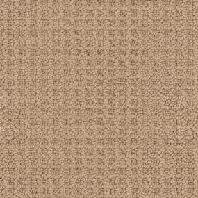 Bubble Wish - Citrus Spice Swatch