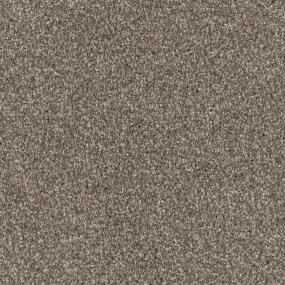 Pinscher Swatch Thumbnail