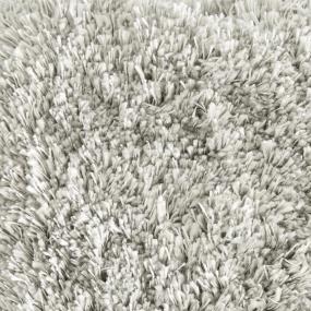 Platinum Zoomed Swatch