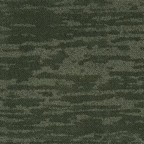 Forrest Swatch Thumbnail