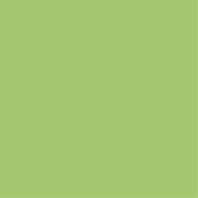 Key Lime Matte Swatch Thumbnail