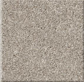 Plan To Succeed I - Greige Swatch