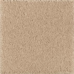 Natural Splendor II - Maple Tint Swatch