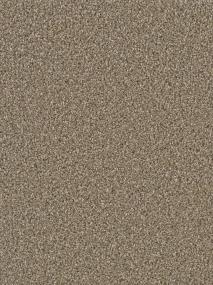 Acorn Swatch Thumbnail