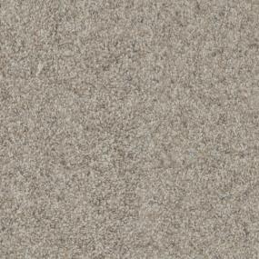 Sandy Zoomed Swatch