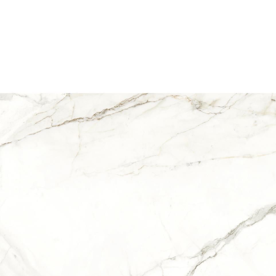 White Zoomed Swatch