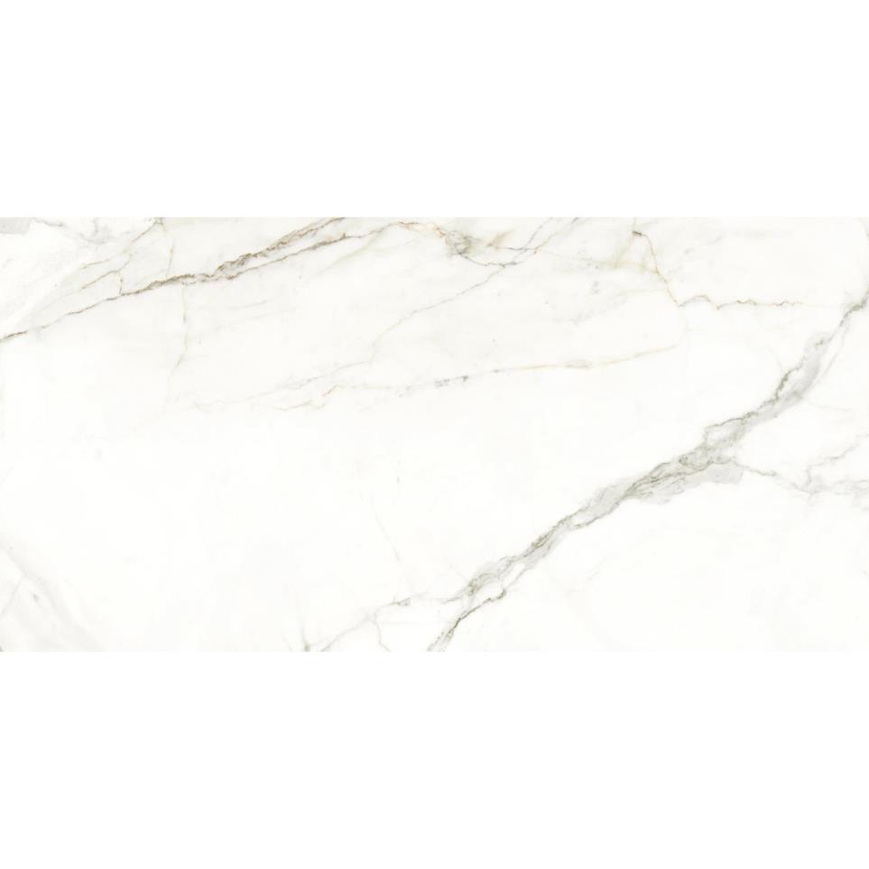 Parkview Rectified Polished 24X47