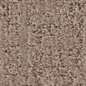 Shadow Colossal - Little Bear Swatch