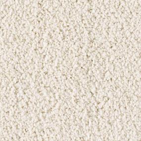 Soft Excellence - Flaky Coconut Swatch