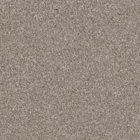 Big Dog - Yorkie Swatch