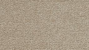 Spacious Solid - Enchanting Swatch